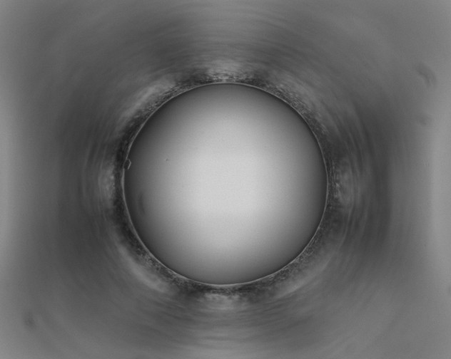 X0000112400690200908141339
