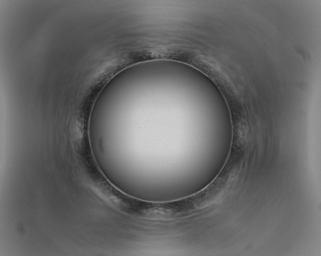 X0000112400691200908141339