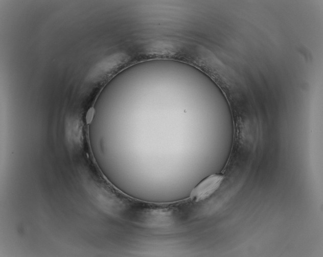 X0000112400692200908141339