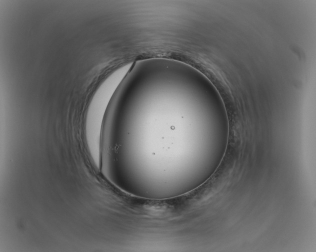 X0000112400693200908141339