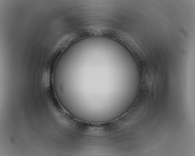 X0000112400694200908141339