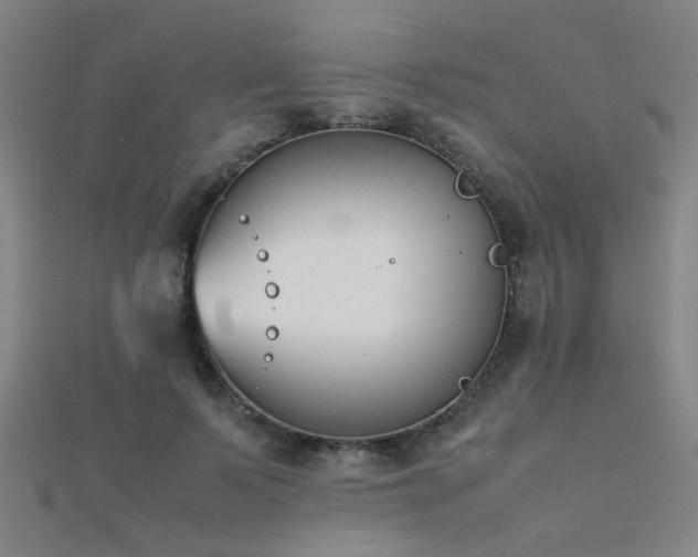 X0000112400695200908141339