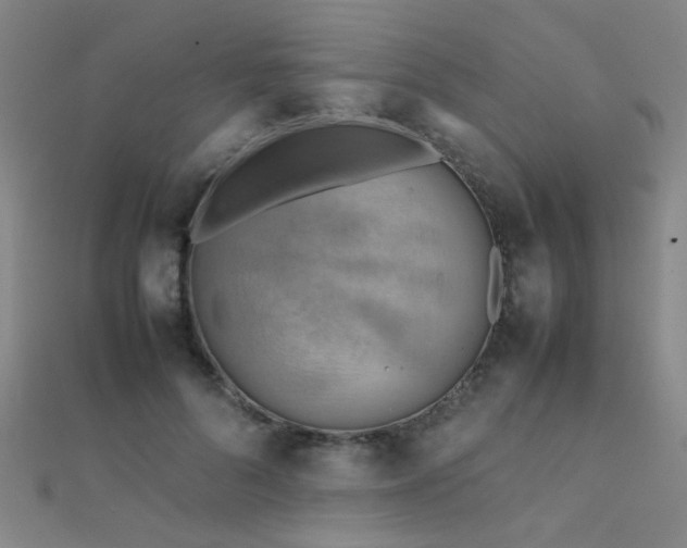 X0000112400696200908141339
