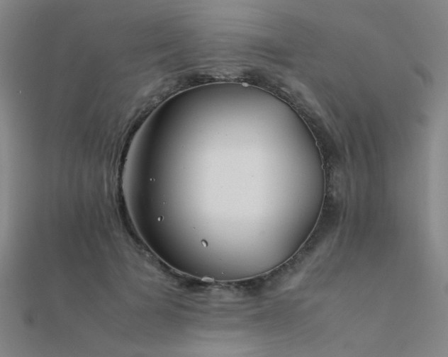 X0000112400697200908141339