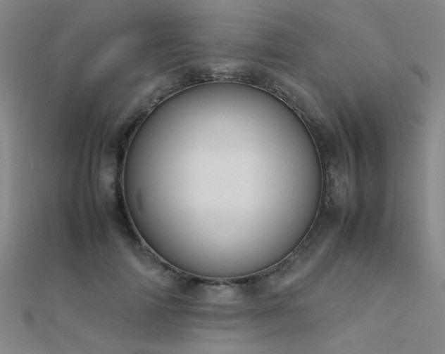 X0000112400698200908141339