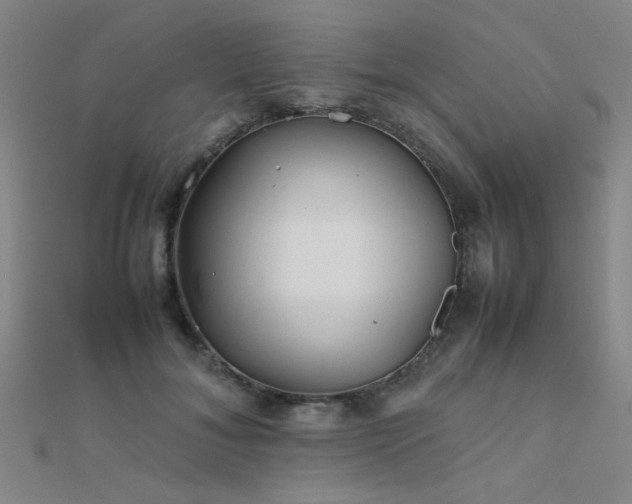 X0000112400700200908141339