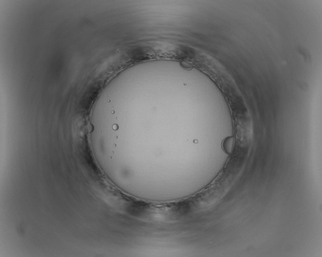 X0000112400701200908141339