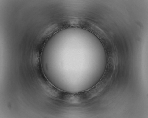 X0000112400702200908141339