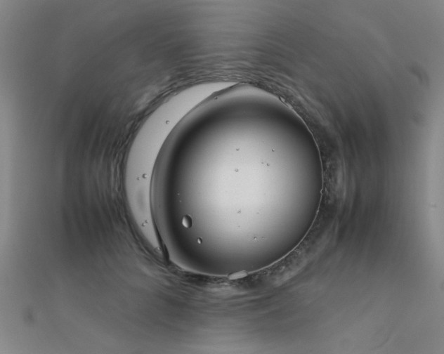 X0000112400704200908141339