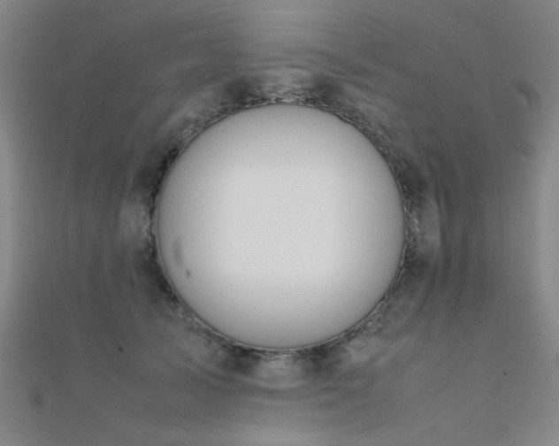X0000112400705200908141339