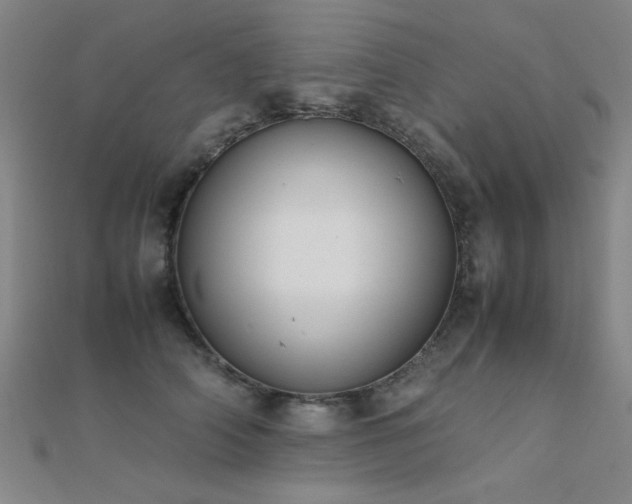 X0000112400706200908141339