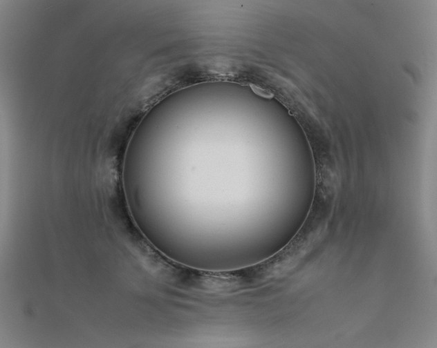 X0000112400707200908141339