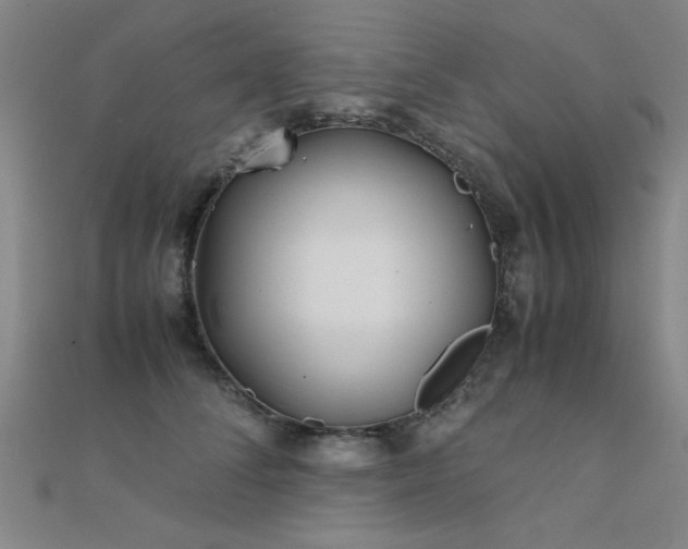 X0000112400708200908141339