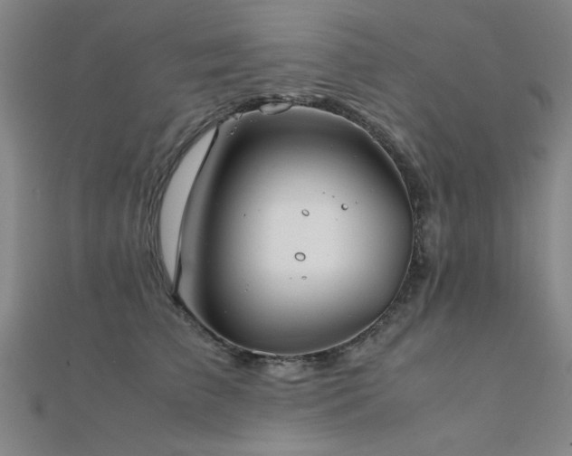 X0000112400709200908141339