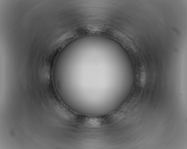 X0000112400710200908141339