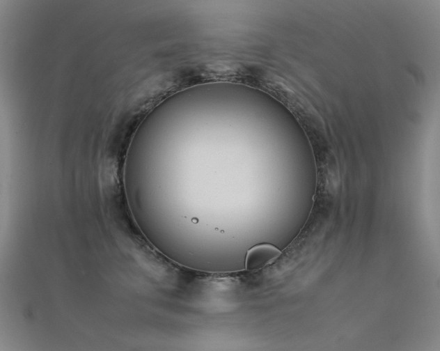 X0000112400711200908141339
