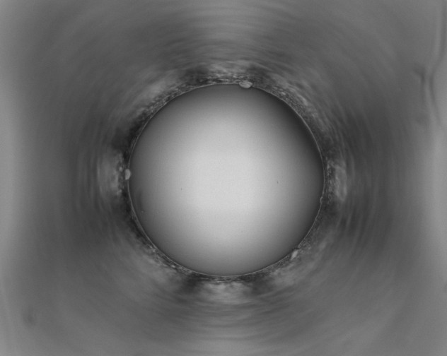 X0000112400712200908141339