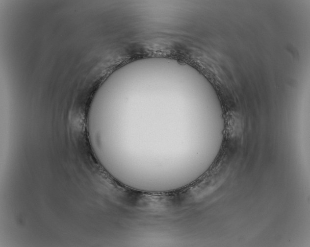 X0000112400713200908141339