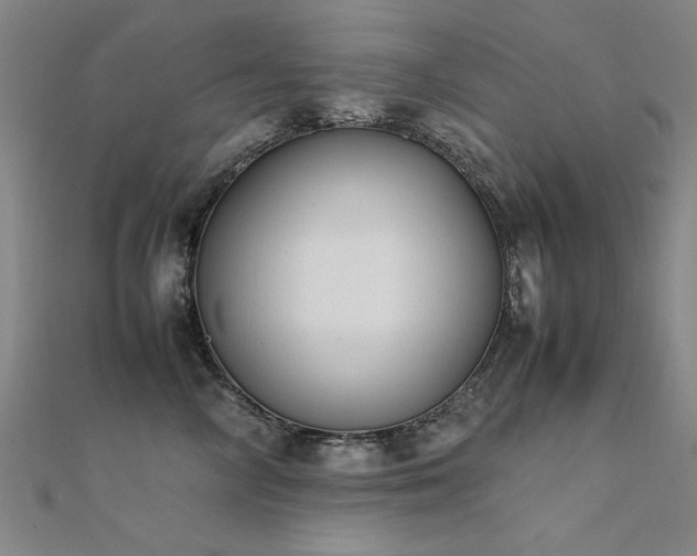 X0000112400714200908141339