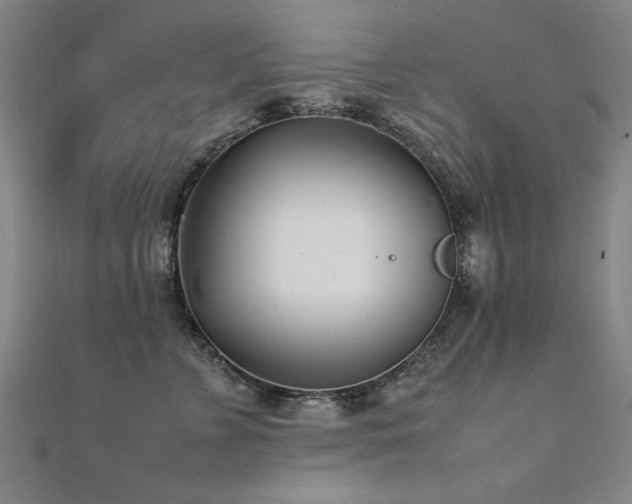 X0000112400715200908141339