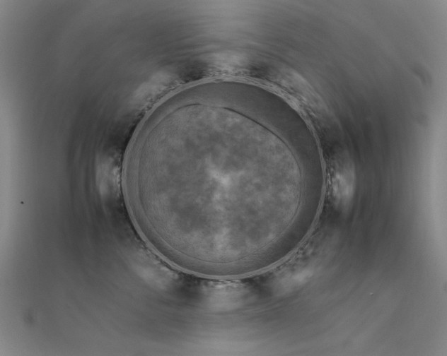 X0000112400716200908141339