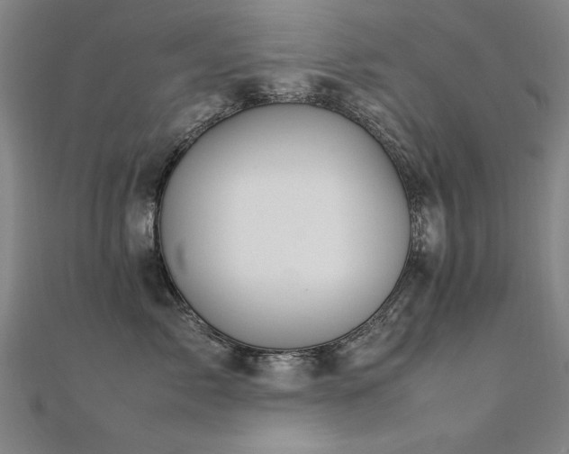 X0000112400717200908141339