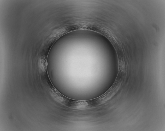 X0000112400719200908141339