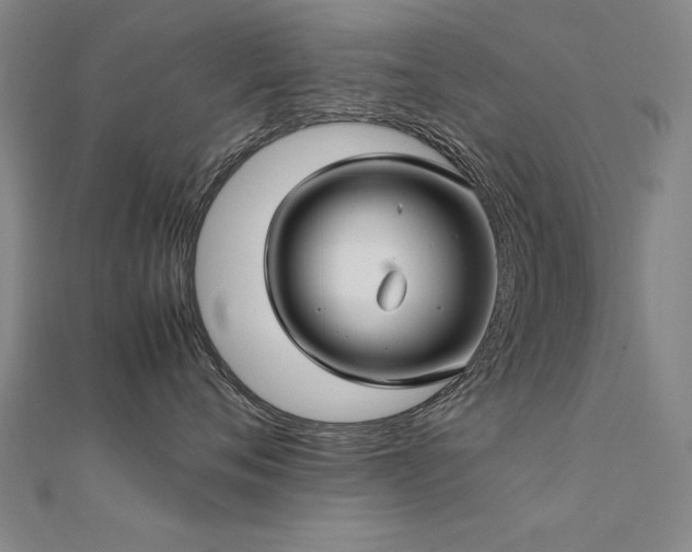 X0000112400720200908141339