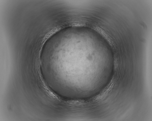 X0000112400721200908141338