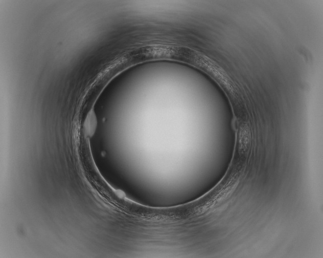 X0000112400722200908141338