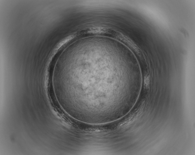 X0000112400724200908141338