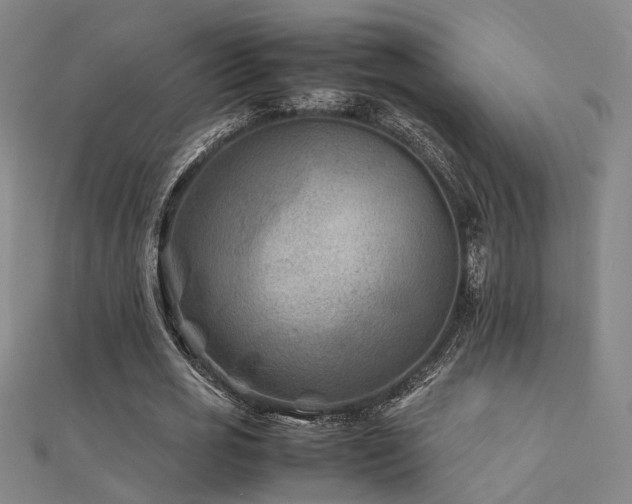 X0000112400725200908141338