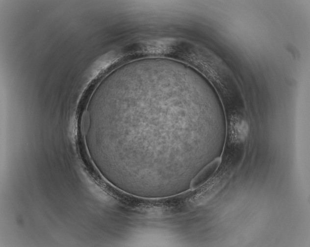 X0000112400726200908141338