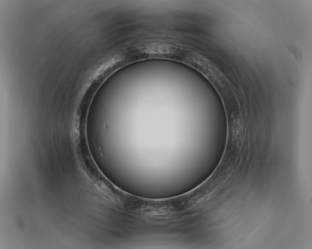 X0000112400727200908141338