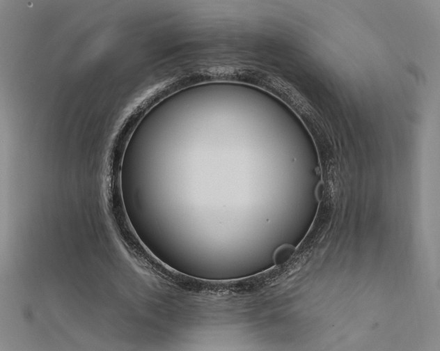X0000112400728200908141338