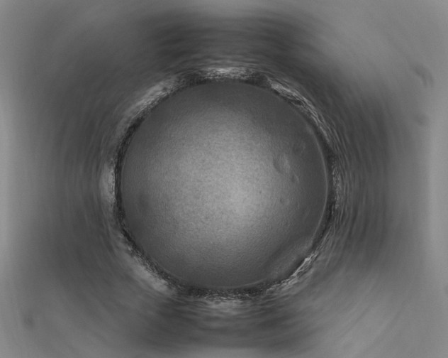 X0000112400729200908141338