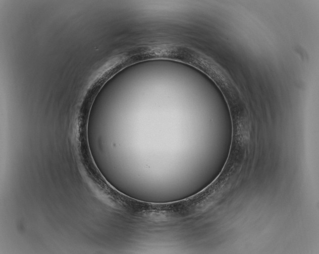 X0000112400730200908141338