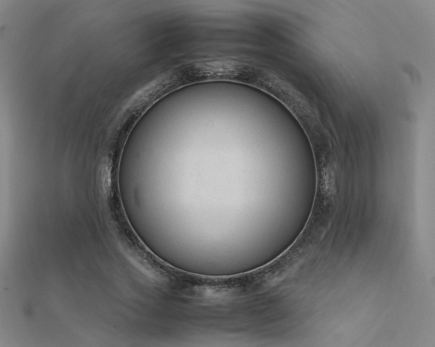 X0000112400733200908141338