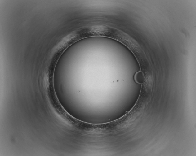 X0000112400734200908141338