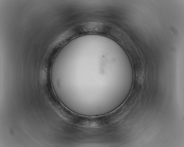 X0000112400735200908141338