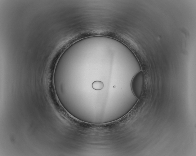 X0000112400736200908141339