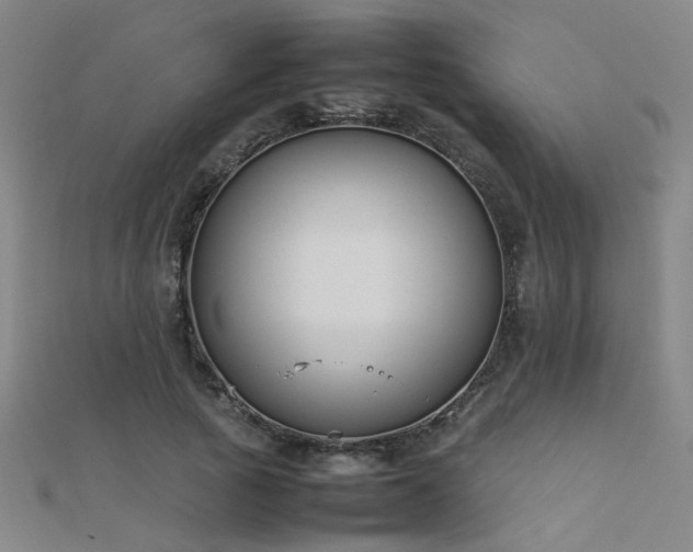 X0000112400737200908141339