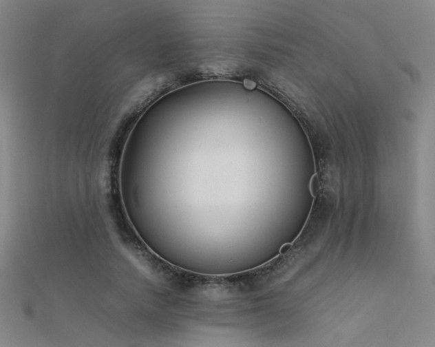 X0000112400738200908141339
