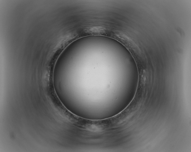 X0000112400739200908141339