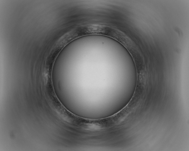 X0000112400741200908141339