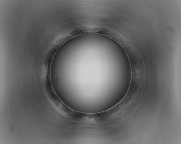X0000112400742200908141339