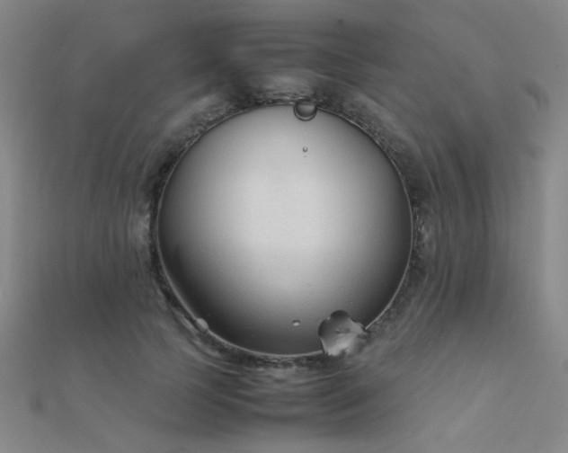 X0000112400745200908141339