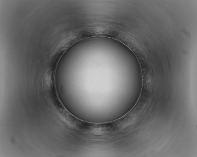 X0000112400746200908141339