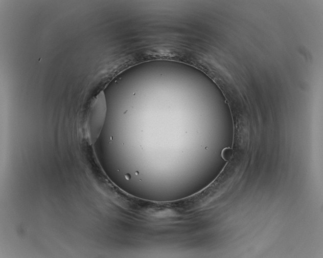 X0000112400747200908141339