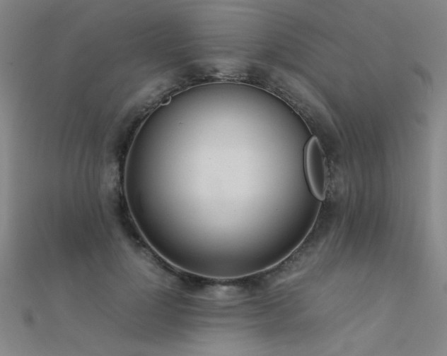 X0000112400748200908141339